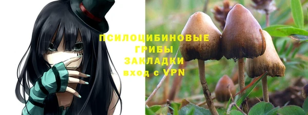 кокаин колумбия Михайлов