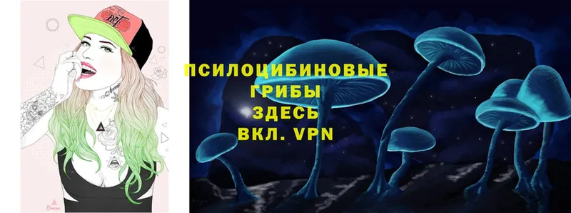 Галлюциногенные грибы Magic Shrooms  mega ТОР  Торжок 