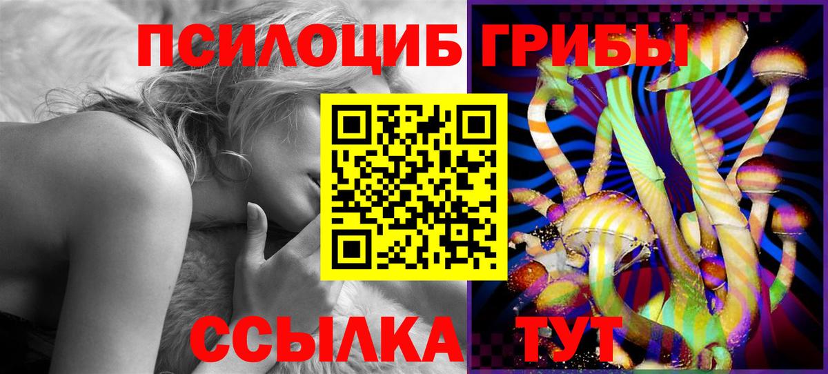 Псилоцибиновые грибы Psilocybine cubensis Торжок
