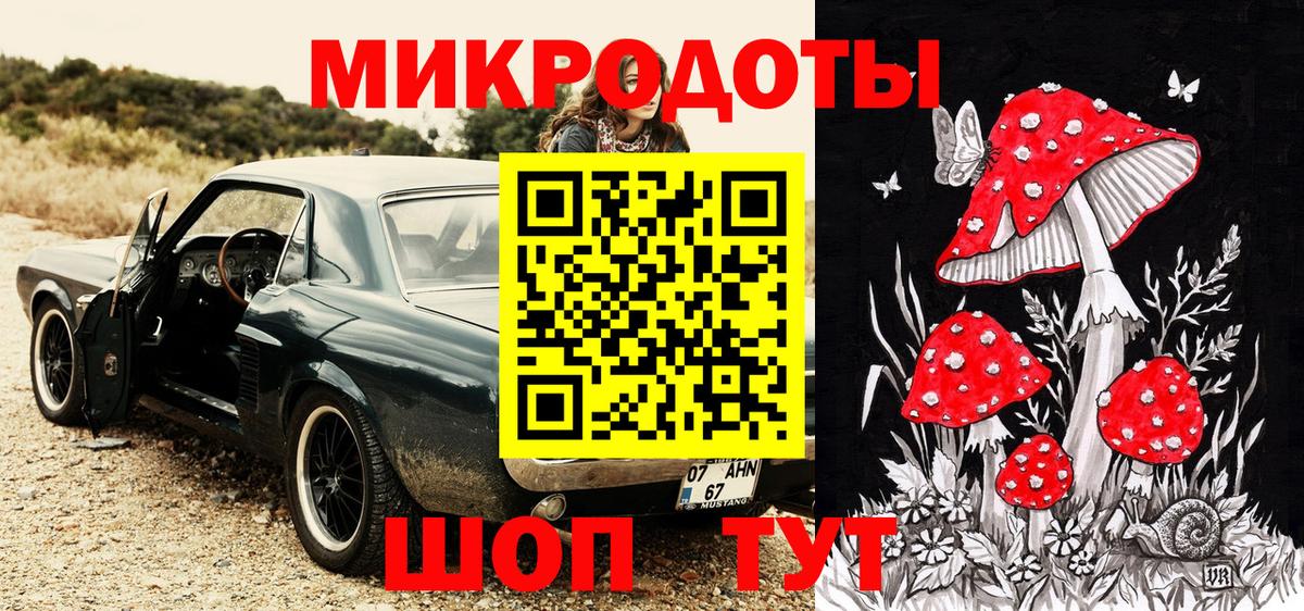 Торжок  Галлюциногенные грибы прущие грибы  Вход с VPN 